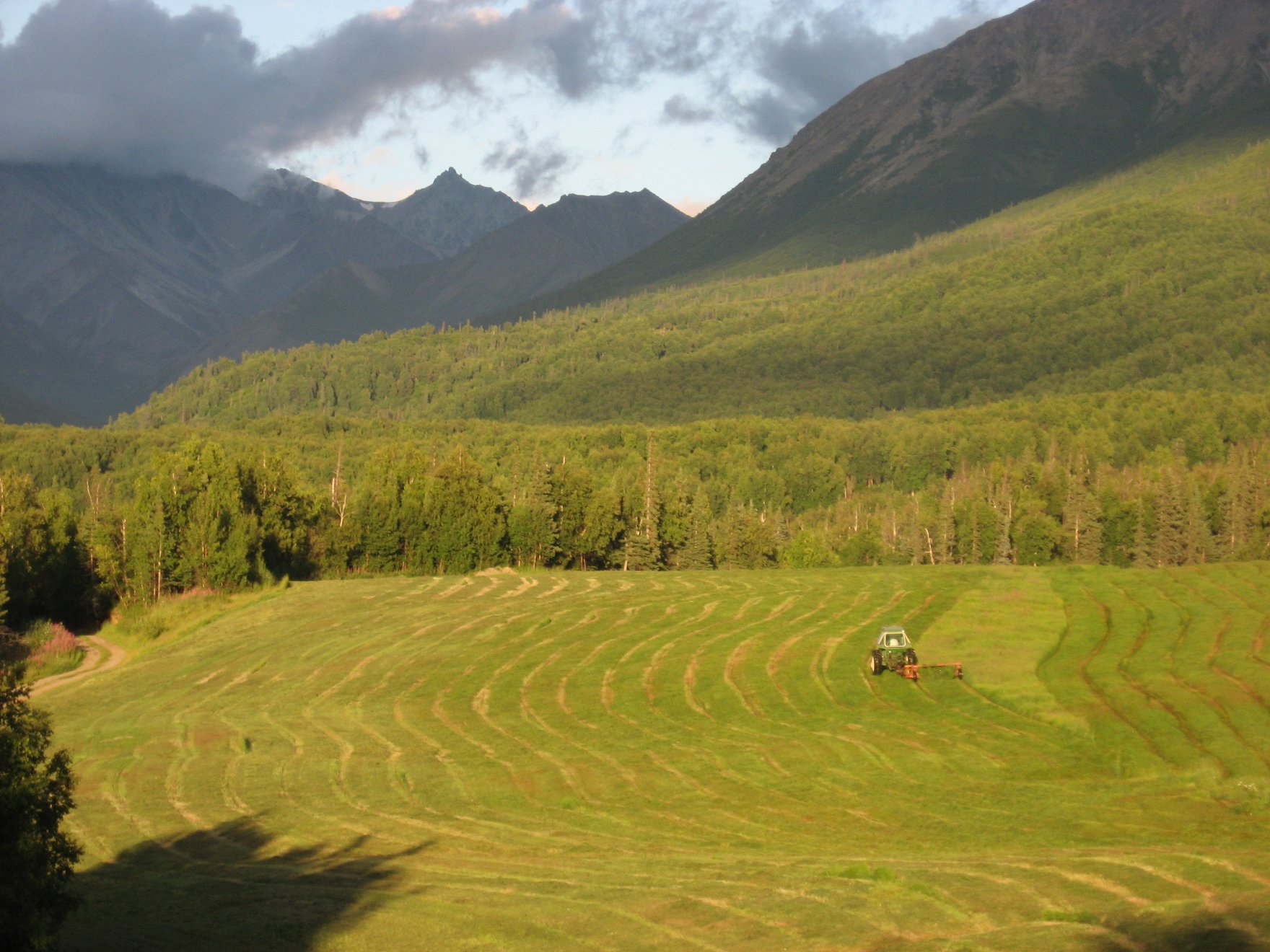 Buy Alaska Grown